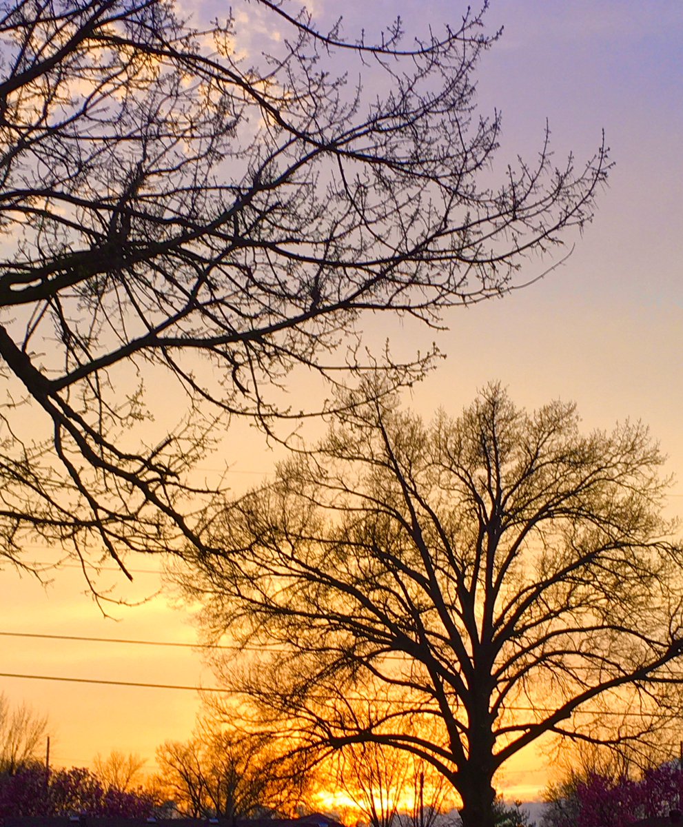 NotaTrllJustNew's tweet photo. I’ve decided that for the benefit of my mental health, at least once a day I’ll make a point of going outside & looking for something beautiful or uplifting. I’ve so far only made it to my back porch, but looking around & paying atten is the basis of mindfulness. #BackyardZen https://t.co/1SNXdx3TcB