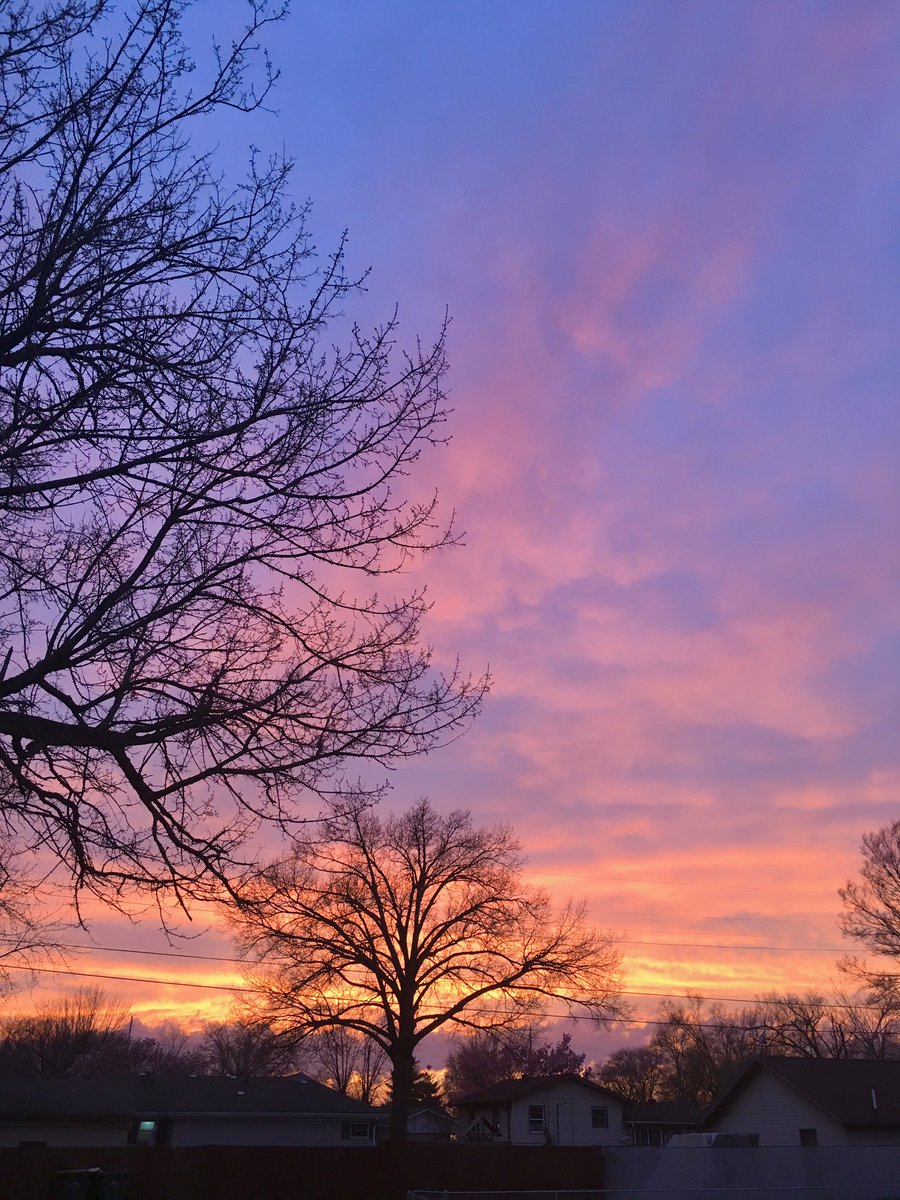 NotaTrllJustNew's tweet photo. I’ve decided that for the benefit of my mental health, at least once a day I’ll make a point of going outside & looking for something beautiful or uplifting. I’ve so far only made it to my back porch, but looking around & paying atten is the basis of mindfulness. #BackyardZen https://t.co/1SNXdx3TcB