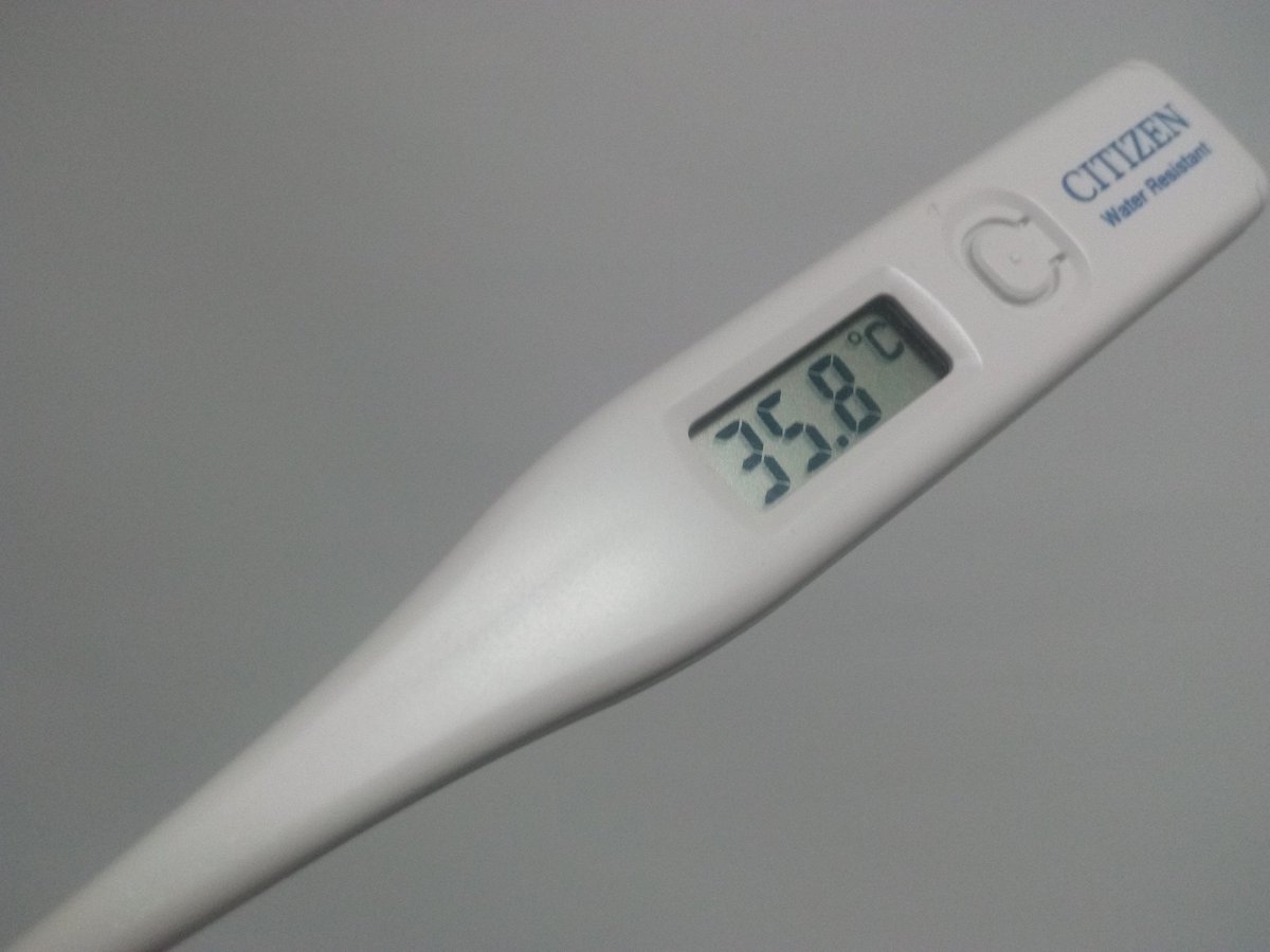 愛知県民 毎日検温します 35 8度 寝起きに計るの忘れ 朝ごはん食べて朝風呂してからだからアテにならんかも 武漢ウイルス 武漢肺炎 武汉肺炎 Chinesevirus Corona コロナ 感染症予防 検温 体温 愛知県 朝風呂 愛知県民 毎日検温します 35 8度 寝起きに計るの忘れ 朝ごはん食べて朝風呂してからだからアテにならんかも 武漢ウイルス 武漢肺炎 武汉肺炎 Chinesevirus Corona コロナ 感染症予防 検温 体温 愛知県 朝風呂