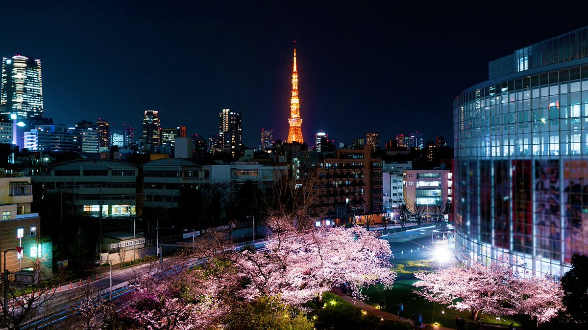 Tokyo Gov Dyk That Roppongi Means 6 Trees One Theory Has It That The Name Came From 6 Old Pine Trees In The Area Over 150 Years Ago The Neighborhood