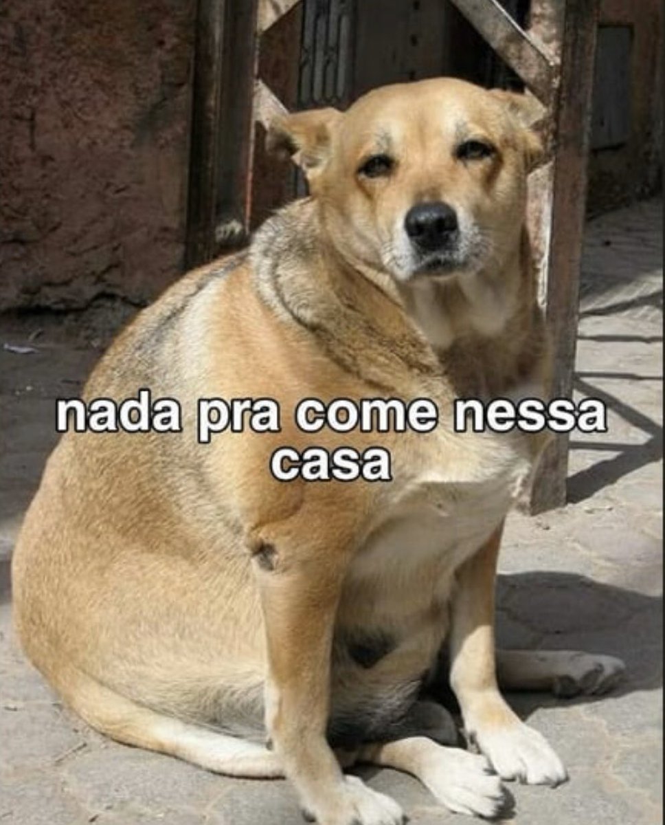rafafeal's tweet photo. Ohhhhh manhê, precisa ir no mercado! kakakakaka https://t.co/DrUJCPaa2W