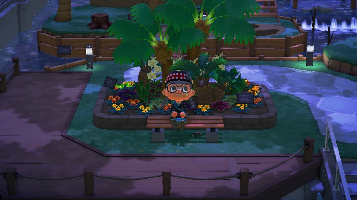 AoSBlossom's tweet photo. Just a few photos of my sweet Nova #AnimalCrossing #ACNH #NintendoSwitch https://t.co/PM8tRxAy8K