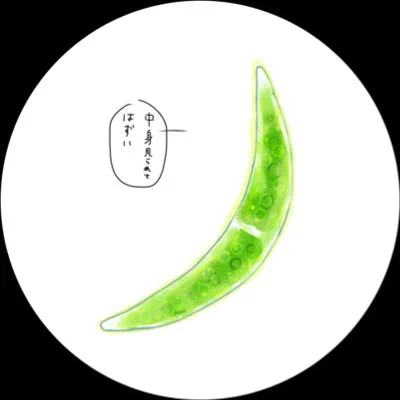 透けて恥ずかしい生き方はするな!!!!!!

 #新しいプロフィール画像 