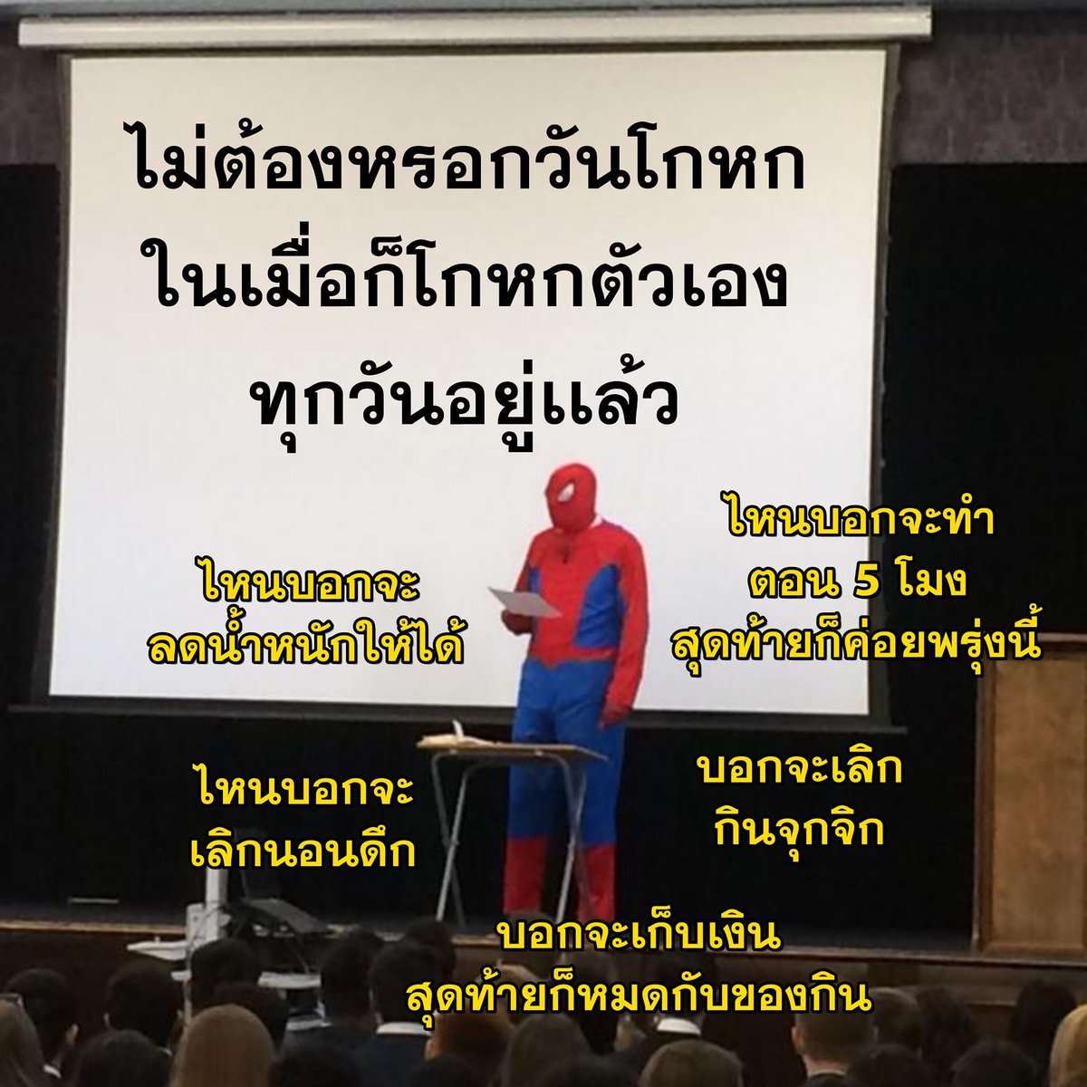 วีวี่ สุนัขชั้นสูง tweet media