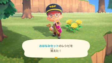 あつ森 バグ みんな貰えるはずの お花見セット 難民が急増中 しずえからレシピが貰えない条件が判明 追記 風船からドロップする模様 あつまれどうぶつの森攻略 たぬきち速報