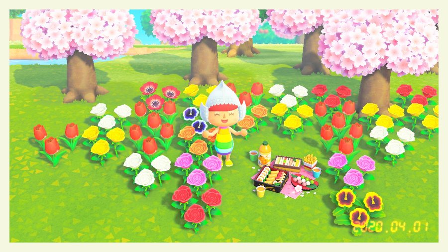 あつ森 バグ みんな貰えるはずの お花見セット 難民が急増中 しずえからレシピが貰えない条件が判明 追記 風船からドロップする模様 あつまれどうぶつの森攻略 たぬきち速報
