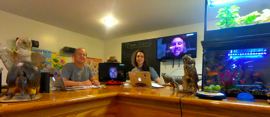 Sean Rafferty (@simmerdown52) | Twitter