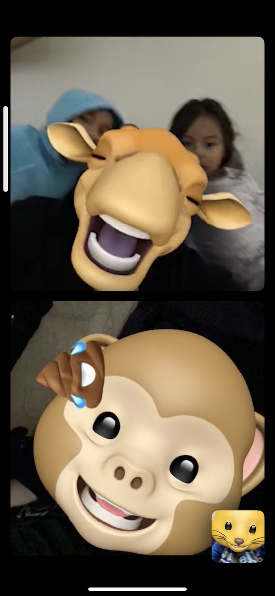 Kaitlyn Sturm tweet media