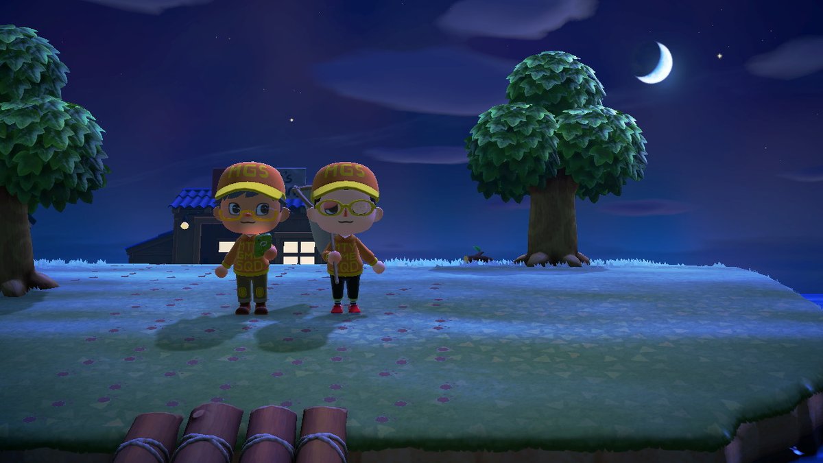 The @mightygamesquad brand is strong. #ACNH