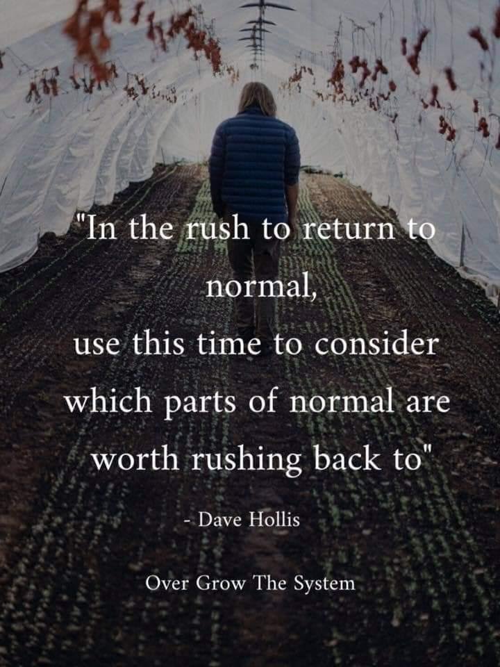 Jason McBride, Pearson College UWC (he/him) tweet media