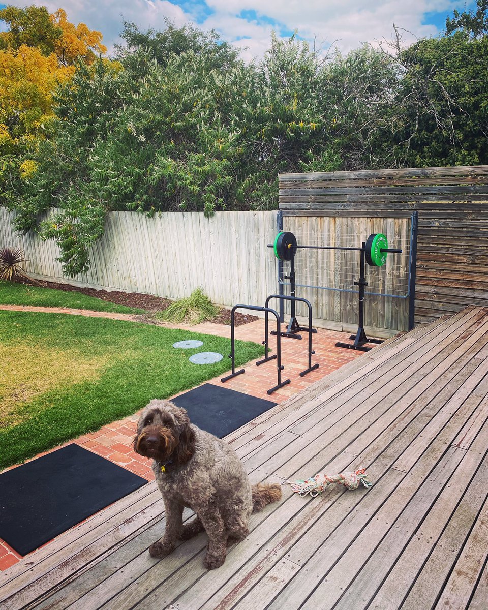 Benefits of training at home - No restrictions on #doggos 🐶