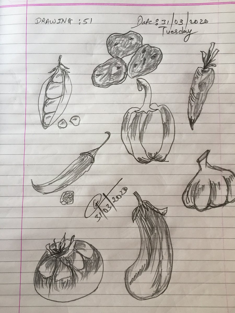 getsprograming's tweet photo. #drawing #art #vegetables #painting #sketch https://t.co/AcYaSqHdob