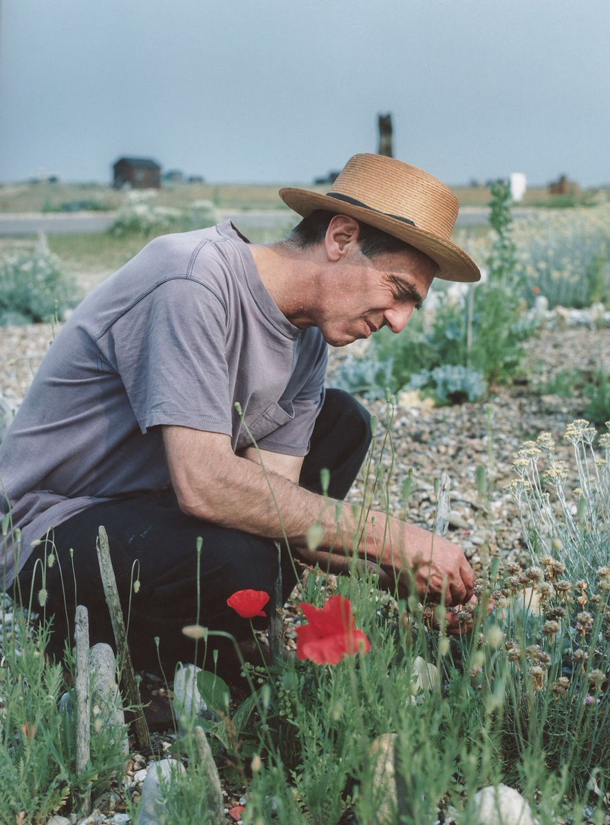 fearofyou's tweet photo. Chiusincasa 

Derek Jarman and his Garden, Cottage in Dungeness, Kent. https://t.co/zeiGVLalQR