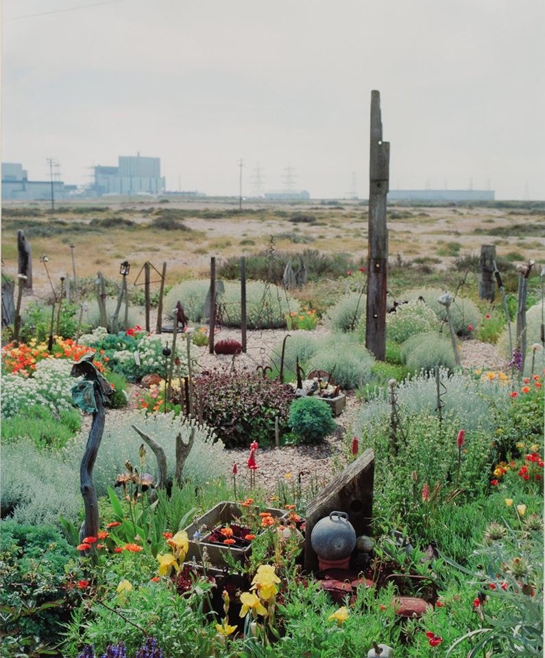 fearofyou's tweet photo. Chiusincasa 

Derek Jarman and his Garden, Cottage in Dungeness, Kent. https://t.co/zeiGVLalQR