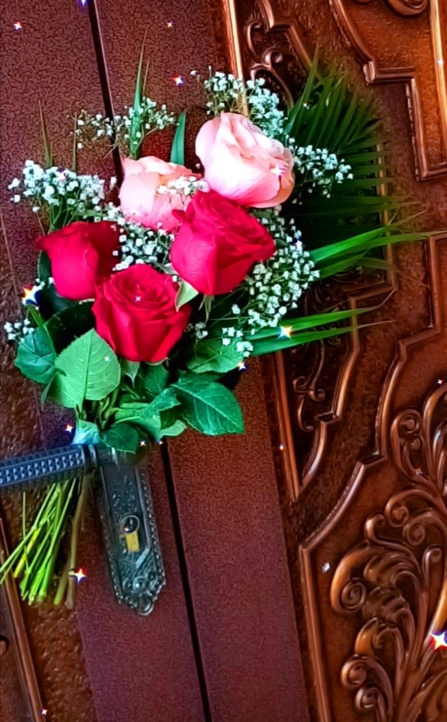HAYAH_2000's tweet photo. #تشبهين #الورد" يبقى الاختلاف ؛ الورد يذبل وانتي دايم فـاتنـه ♥️🎻 https://t.co/GRssXpeIy1