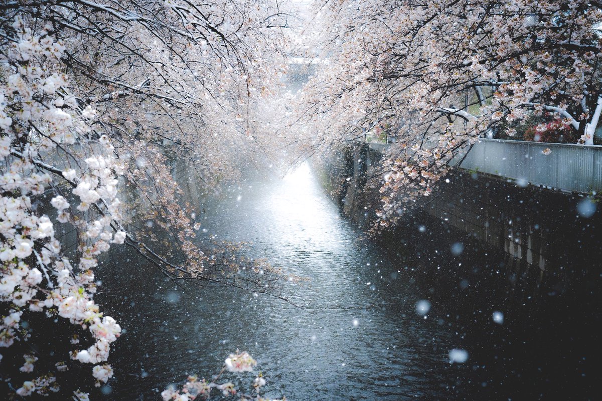 tokyovisite's tweet photo. Je me lance professionnellement dans la photo au Japon !
Comme beaucoup je n’ai plus de travail, et vous savez que je suis un amoureux de la photo💗c’était donc prévu un jour tôt ou tard📸

Merci beaucoup de RT pour m’aider svp🙏🏻❤️et bon courage à tous !

Insta: tokyovisite https://t.co/2a2QKz73bb