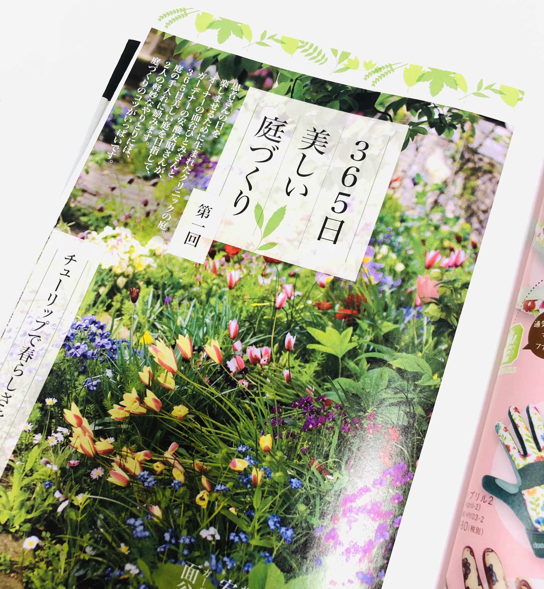 nhk出版 趣味の園芸 テキストちょい見せ 続きます 新年度ということで 新連載が一斉にスタート 順にご紹介します 新連載 365日 美しい庭づくり は 米子市内のクリニックのお庭から 患者さんのために 圧倒的な美 を求める面谷さんと nhk出版 趣味の園芸 テキストちょい見せ 続きます 新年度ということで 新連載が一斉にスタート 順にご紹介します 新連載 365日 美しい庭づくり は 米子市内のクリニックのお庭から 患者さんのために 圧倒的な美 を求める面谷さんと