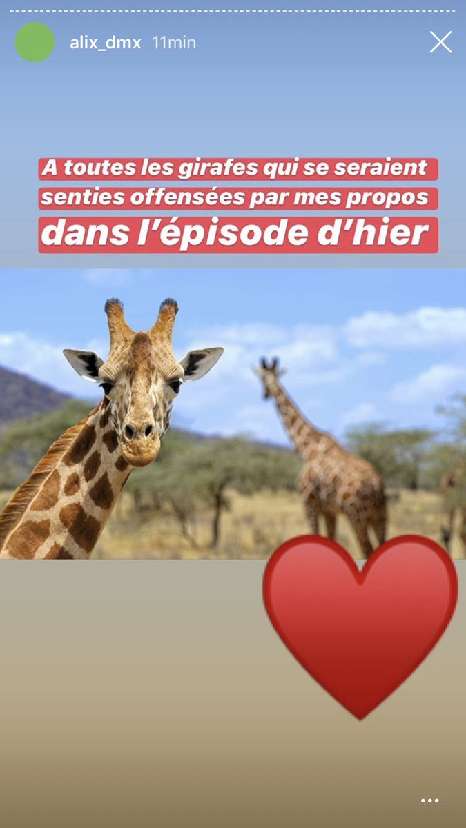 NDelicya's tweet photo. Mais Alix c’est une ouf regardez elle a mis quoi dans sa story insta 😂😂 #LMAC https://t.co/jkEuX7XyId