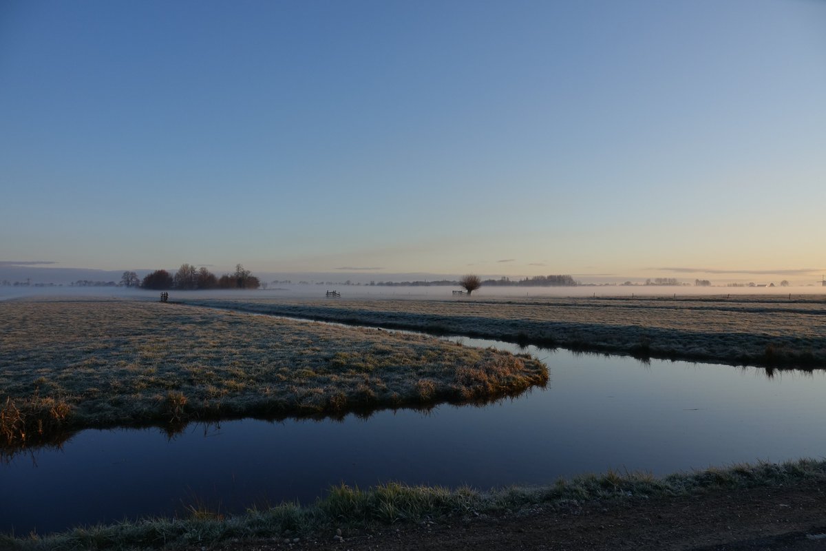 Na zo'n ochtendwandeling kan ik de quarantaine weer een dagje aan. #goedemorgen #krimpenerwaard