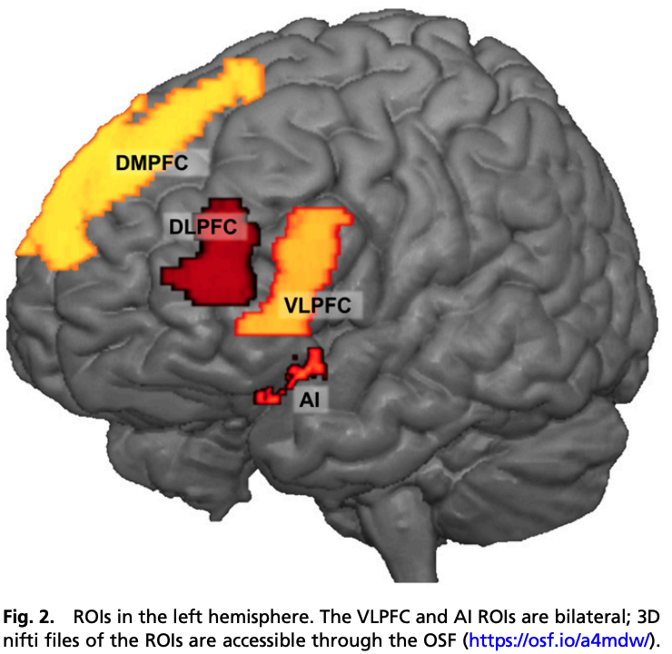 Michelle achterberg on twitter we examined neural response patterns
