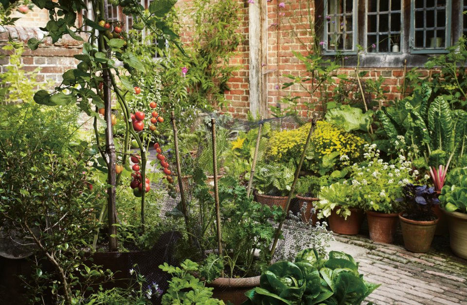 ChattyGardener's tweet photo. New blog - I've been finding out about #gyo in containers with @GreatDixter Tips &amp; recipes, ideal for beginners &amp; those with little #garden space. #BookReview here https://t.co/VeuxT8FAri #gardening #gdnbloggers https://t.co/jK9TbrcB8p