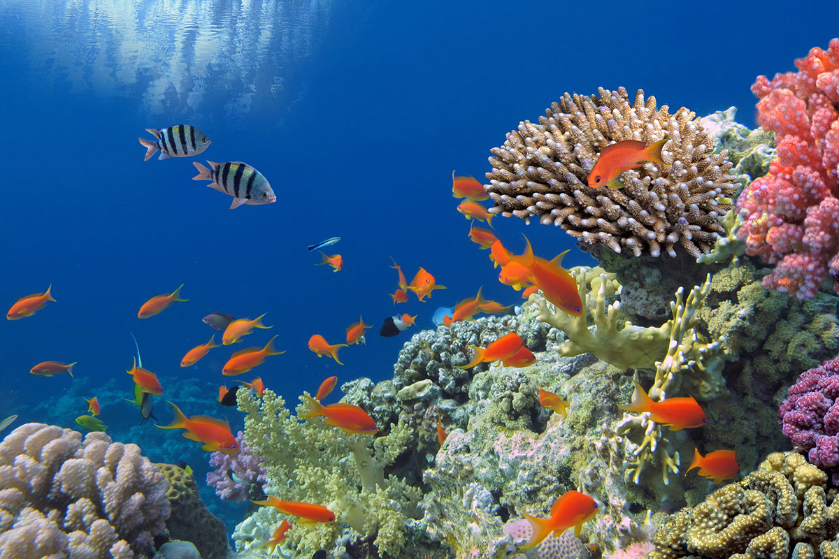lefopulaire's tweet photo. Pas de poisson d'avril cette année, juste une photo de la Vienne qui a retrouvé de sa splendeur depuis le confinement https://t.co/G49AMHWgsl
