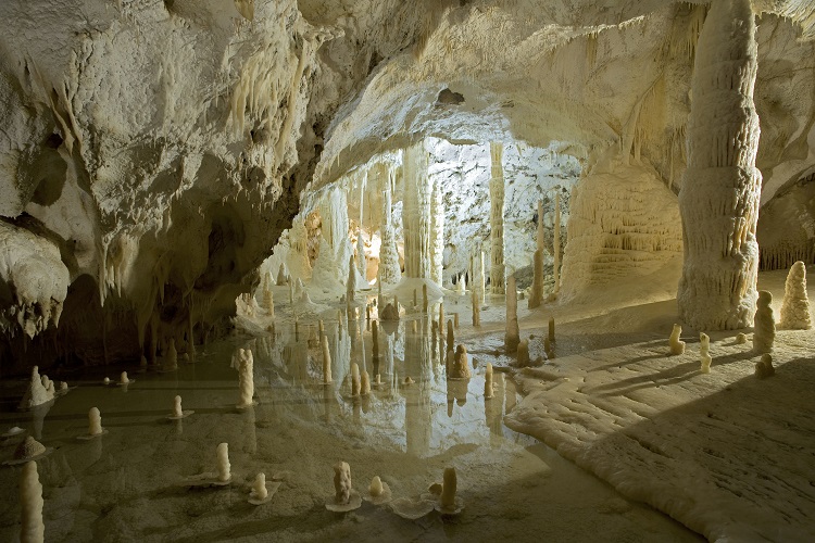 Bizarre und faszinierende Formationen aus Stalaktiten und Stalagmiten bestaunt man in den großartigen #Höhlen von #Frasassi in der Region #Marken tinyurl.com/wyrtwot <a href="/MarcheTourism/">Marche Tourism</a> <a href="/MarcheTourismEN/">Marche Tourism En</a> <a href="/iLoveMarche/">I Love Marche</a> <a href="/RegioneMarcheIT/">Regione Marche</a> <a href="/DiscoverMarche/">Discover Marche</a> <a href="/CiaoNico/">Nicoletta De Rossi</a> <a href="/frasassigrotte/">Grotte di Frasassi</a>