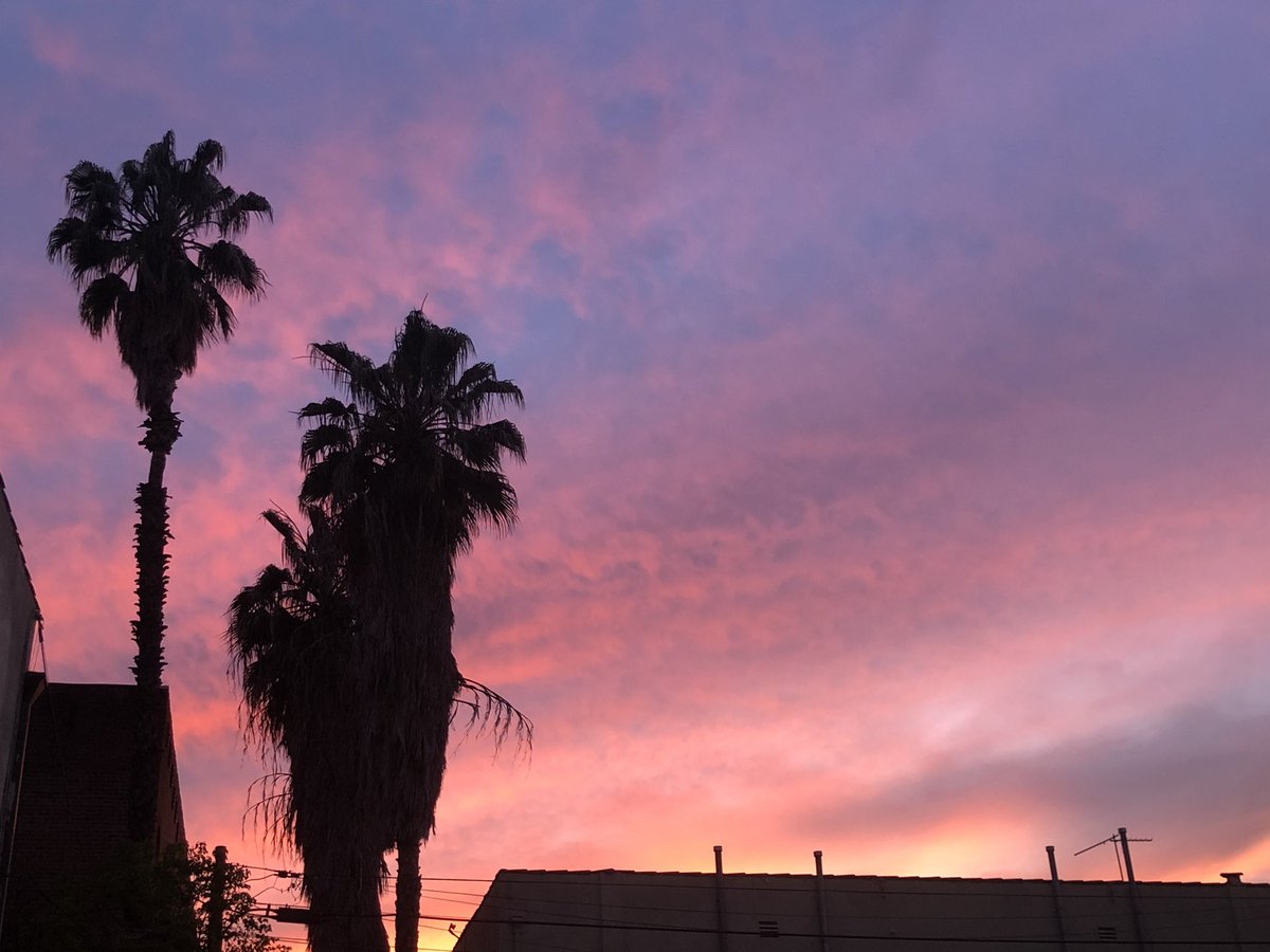 LosAngeleno's tweet photo. We made it through another day. Congratulations, LA. https://t.co/a2VqubDonW