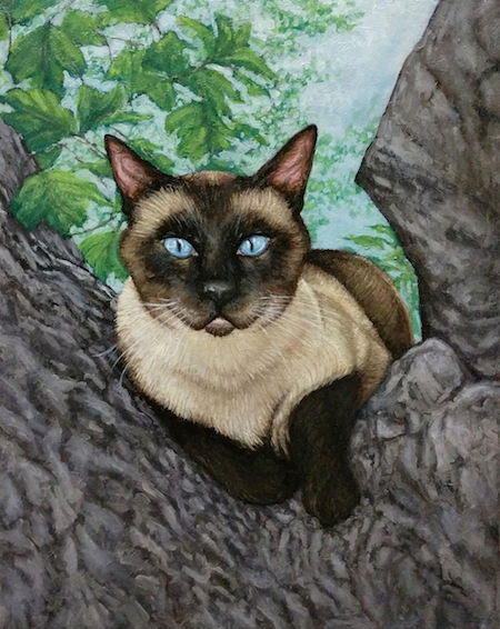 Sweet Murmur Pets tweet media