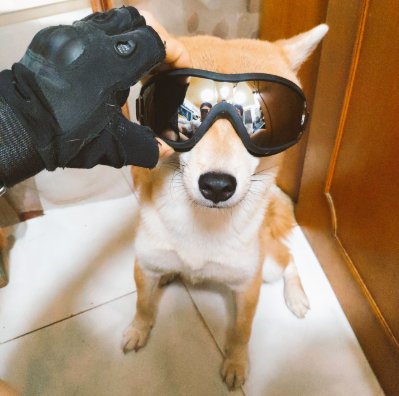 SUPERNIGHTOL's tweet photo. I AM NOBODY FROM NOWHERE!
COOL LOOK HUH～#comedy #hilarious #humor #haha #laugh #textpost #jokes #funny#dog #dogs #QuarentineLife #dogsarefamily #motivation #positivity https://t.co/YZYbalWaPQ