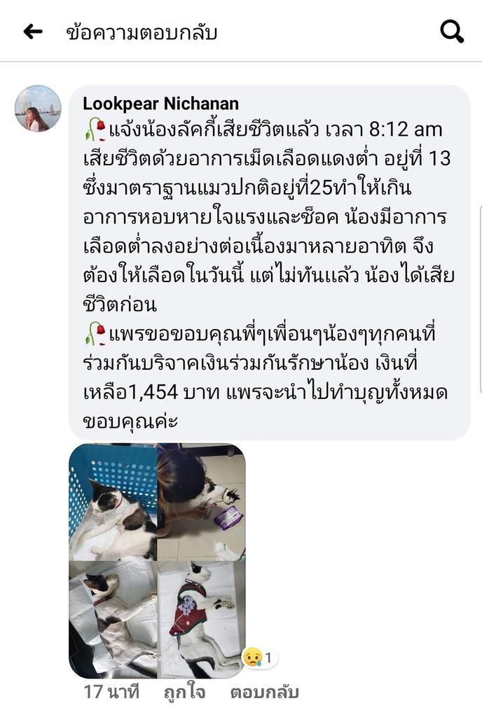 nichaaaa tweet media