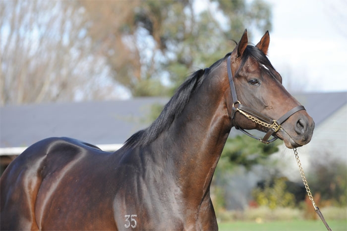 anz_news's tweet photo. The charming #RoadToRock (Encosta De Lago) : a dual G1W for @ACummingsracing and sire of Hong Kong Legend #BeautyGeneration, has passed away at @Wellfieldlodge1 following the complications from laminitis. Our condolences to the team and connections. https://t.co/IOhUgc67El