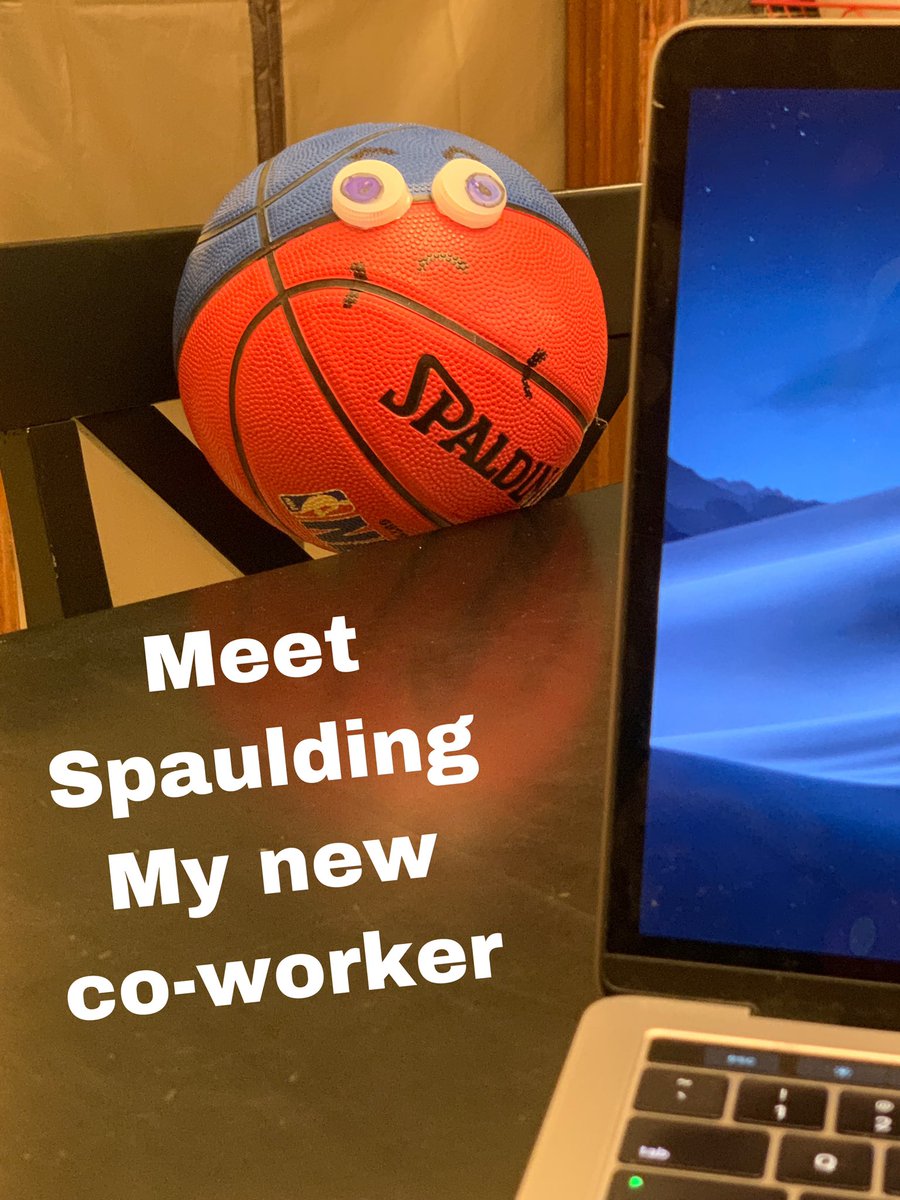 Stephanie Starry tweet media