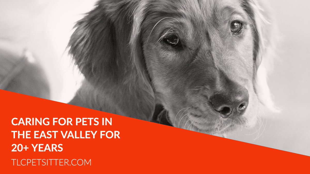 TLCpetsitter's tweet photo. We are there for your pets when you're away, when you can't be, and when you need a little extra help.  Bonded and insured.

#petlovers #doglovers #petsitterlife #azsmallbusiness #arizona #dogsofaz #petsofaz #dogmom #petparent #doglover #eastvalley #arizona https://t.co/Km7IBP1q5u