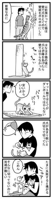 27 つめをとぐはな
https://t.co/cPcdb2E9Gs
棒で勝手に遊びます 
