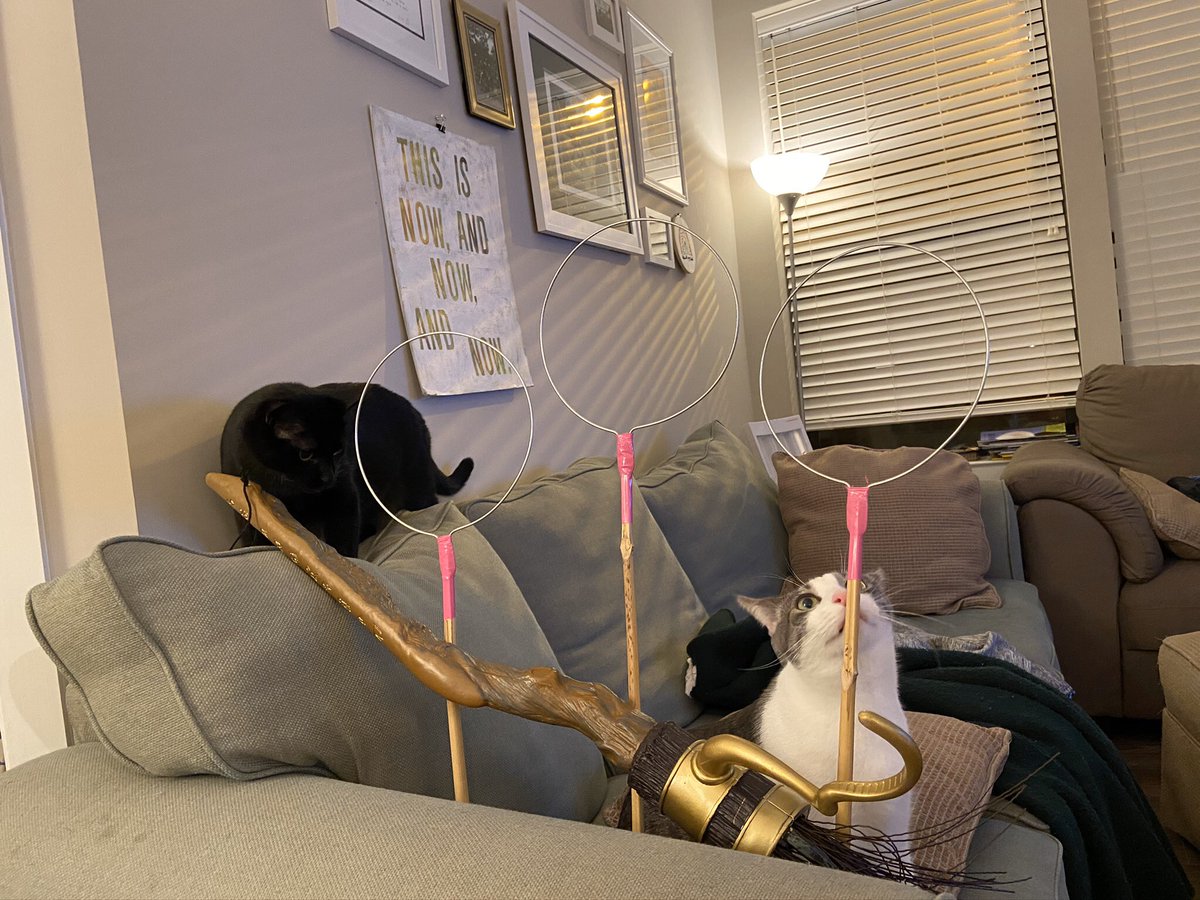 Night 2 of  #Catlympics2020 was magical as we paid homage to Nimbus and Comet’s namesakes through...Quidditch