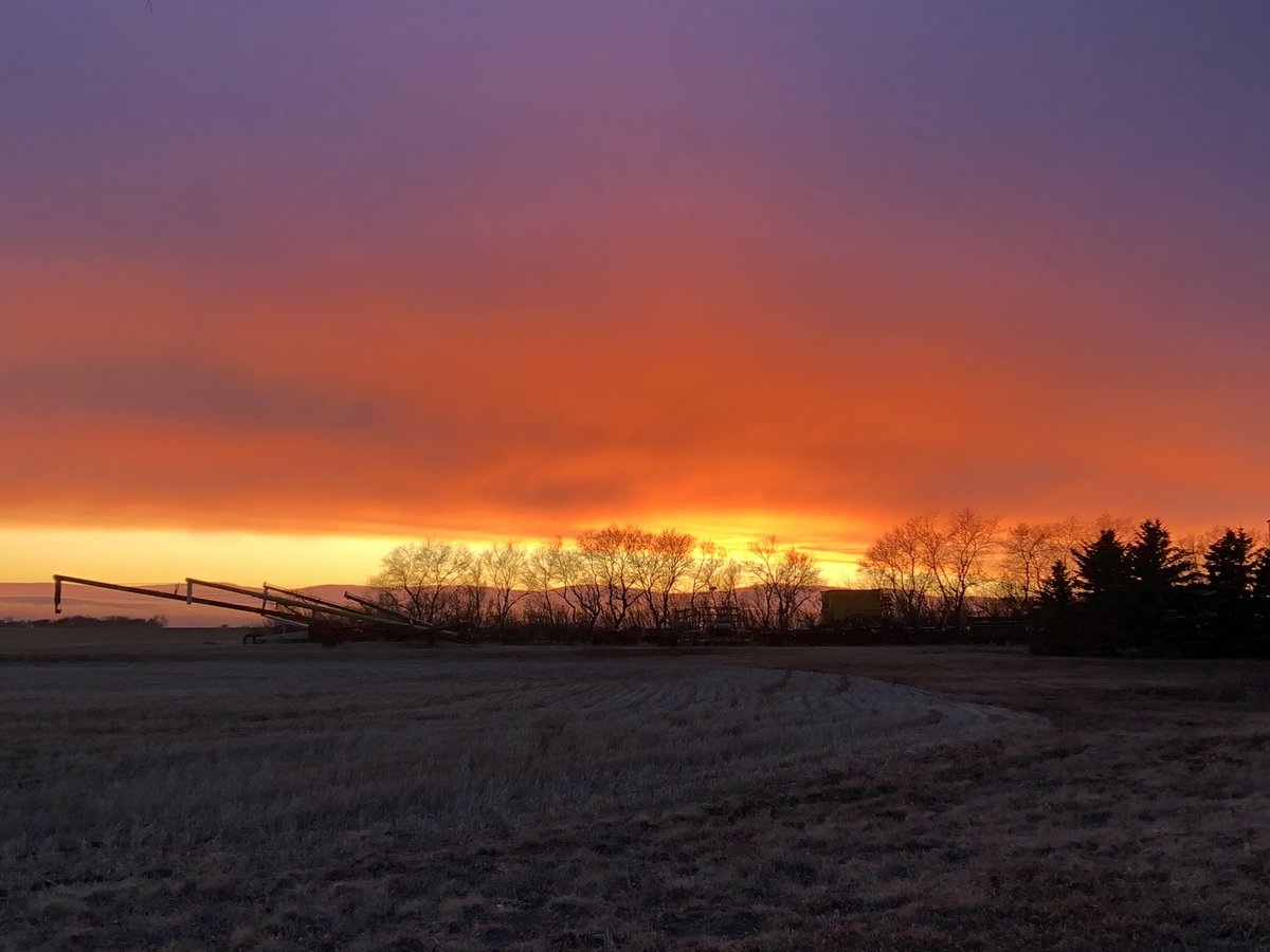 jnaylen's tweet photo. @CTVReginaLive #Majestic #sunset #SESASK #Arcola What a view from my new #classroom #teacher #SECPSD  #teachingfromhome #Grade3 https://t.co/9RO2vPe2f1