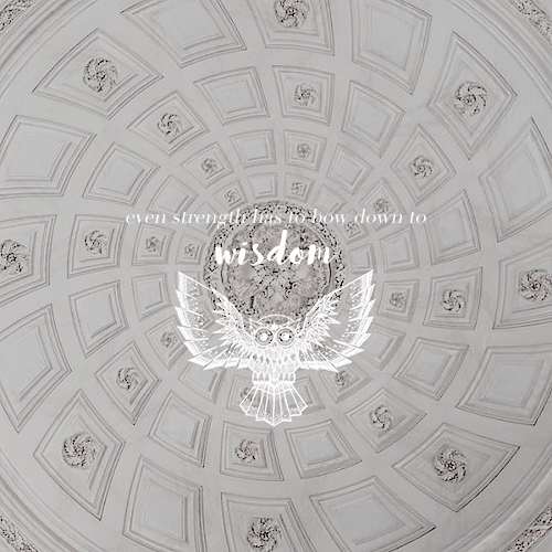 ⠀ ⠀❛  EVEN STRENGTH MUST BOW
⠀ ⠀⠀ ⠀TO ❨* 𝑾𝑰𝑺𝑫𝑶𝑴 ❩ SOMETIMES.  ❜

⠀ ⠀⠀ ❚ 𑁍  𝗔𝗡𝗡𝗔𝗕𝗘𝗧𝗛 𝗖𝗛𝗔𝗦𝗘｡
⠀ ⠀          ⤹  ᥲrᥴhitᥱᥴt：ᥕisᥱ girᥣ.

⠀ ⠀⠀   ❲ ↻ &amp; ♡ ❳