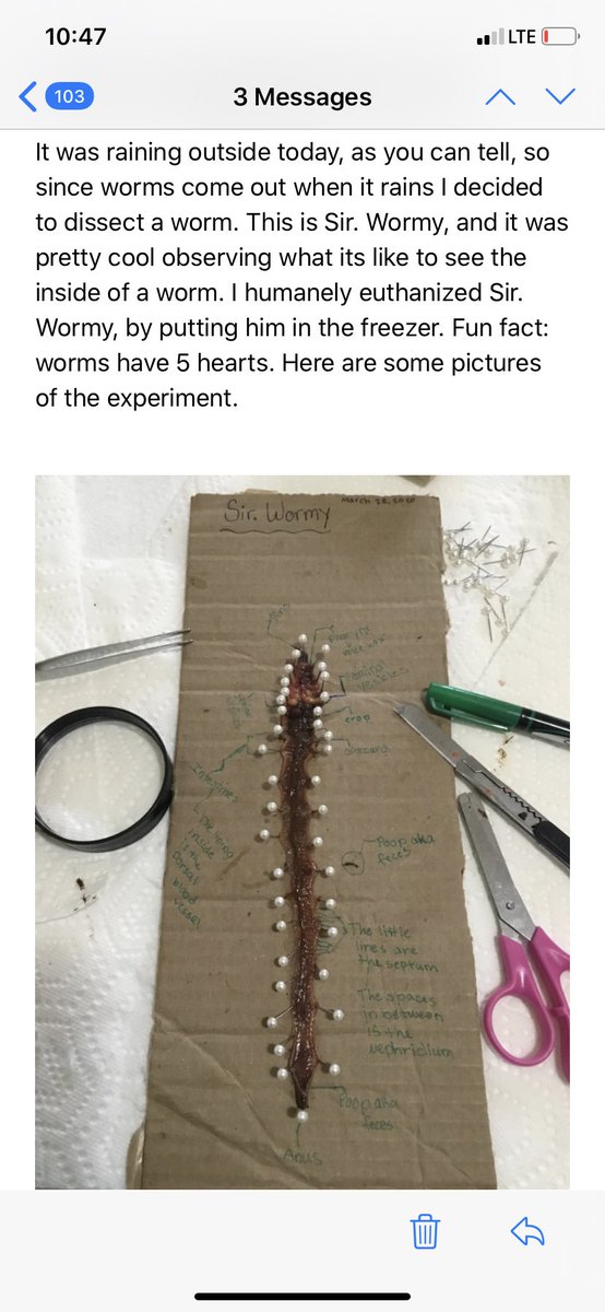 Salk6thGrade's tweet photo. One of my students decided to teach me a few things about worms...wow! #salksoars #fraserfamily https://t.co/MdmbbHygZ2