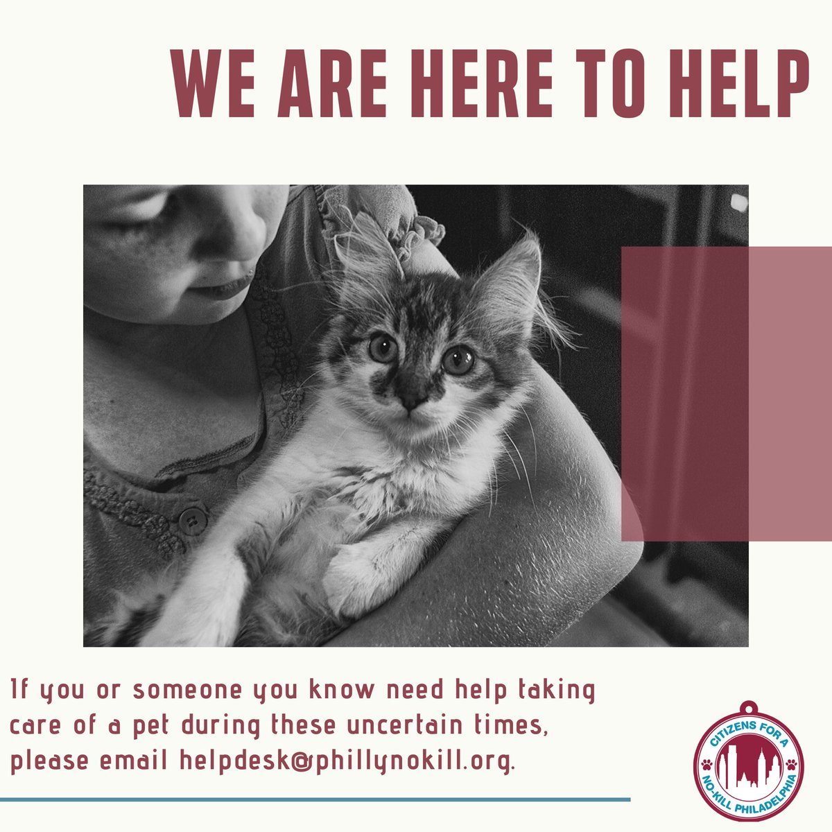 Philly No-Kill tweet media