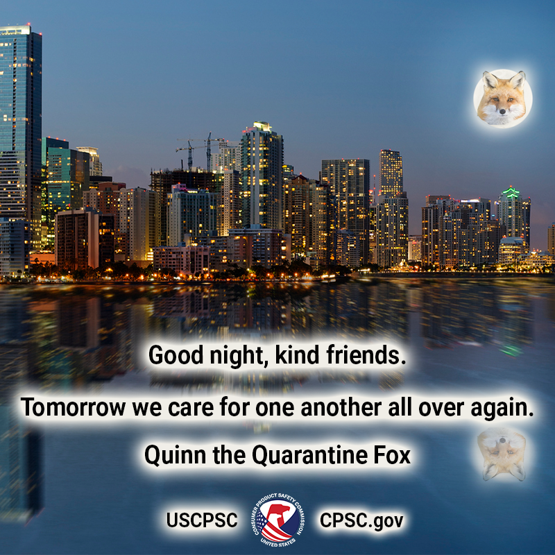 A fox named quinn the quarantine fox in the moon over Miami, Florida. The text reads: Good night kind friends. Tomorrow we care for one another all over again.