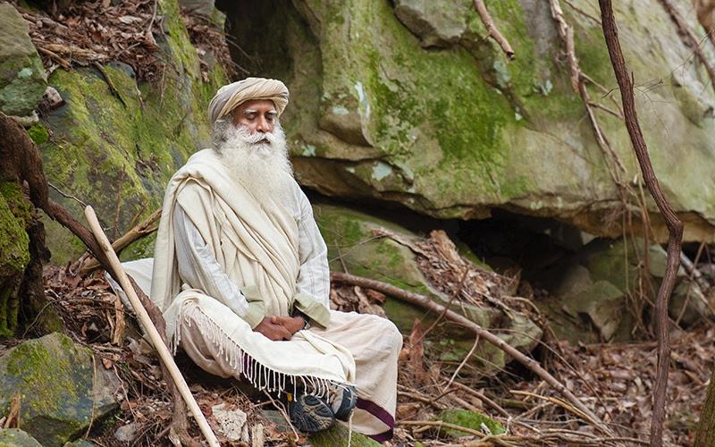 SadhguruJV's tweet photo. This is a great time to address ourselves. If we put in enough effort, we can come out physically fitter, mentally more stable, energetically stronger, and spiritually with more potential. #SadhguruQuotes https://t.co/6OuL0lPYGU