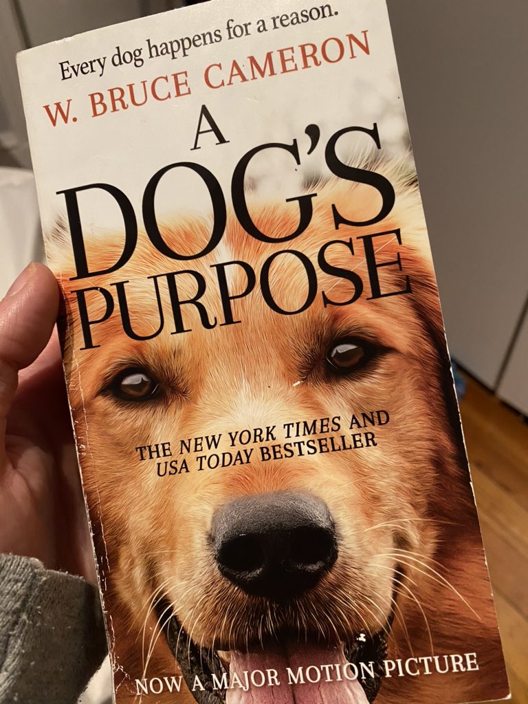 GlatthornMath's tweet photo. I didn’t have an English assignment per se....but I did finish a book today! A great read, I highly recommend!!📚🐶 @OAStuco #TIGERSPIRIT2020 #VirtualSpiritWeek #WeDigEPS #WeDigReading #WeDigEnglish https://t.co/ZzustTT9p1