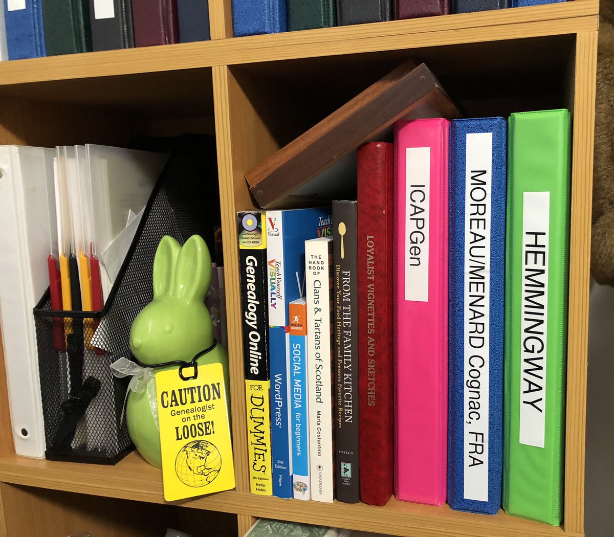 leprchaunrabbit's tweet photo. Next project: take apart the MOREAU/ MENARD book and reorganize it. #genealogy #genealogie
earliest generation came fm Saintonge FRANCE 1637 to Bastican #LowerCanada now Quebec
(0ver 3K DNA matches to verify/ add.).
SLR🍀🐰 https://t.co/4nY7WYuet1