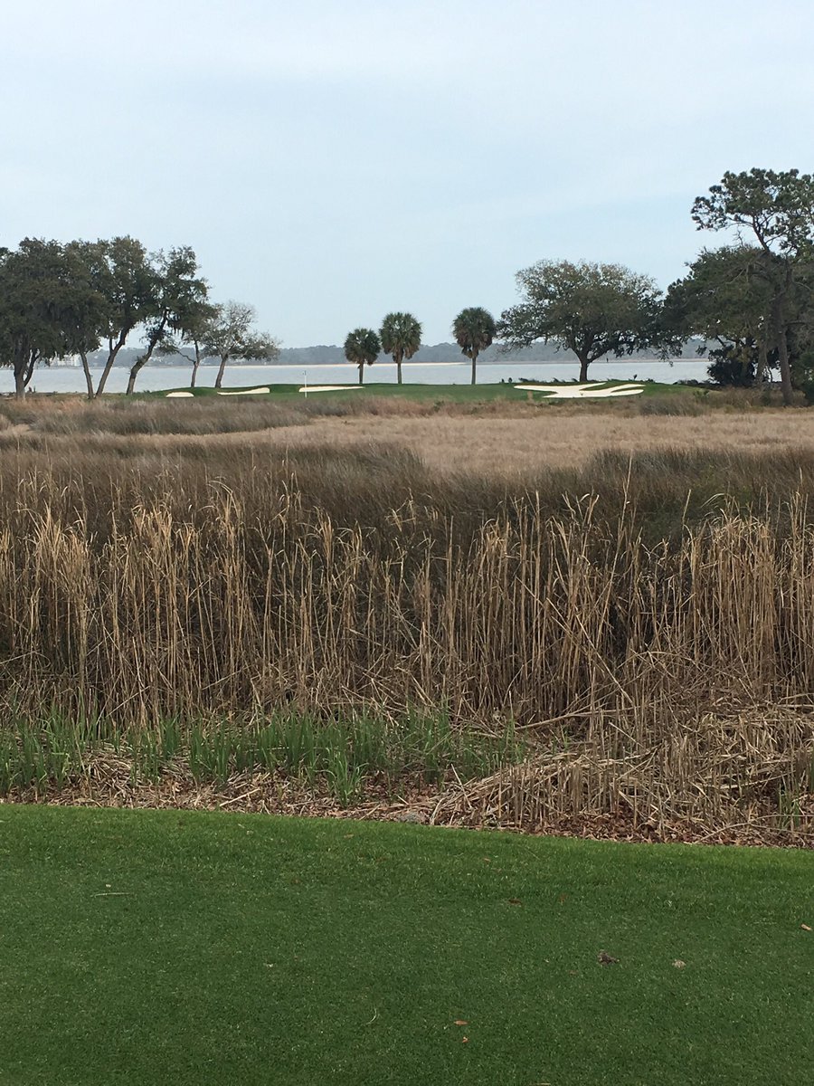 George Stark tweet media