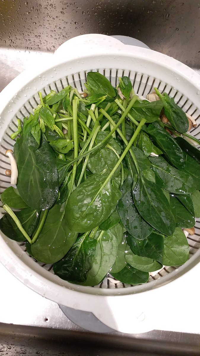 💔愛💜𝓡𝓪𝓮 𝓝𝓲 𝓚𝓾𝓵𝓮𝓽𝔃 ⁷ᴳ𓆩ᥫ᭡𓆪⊙⊝⊜ ⟬⟭⟭⟬ tweet media