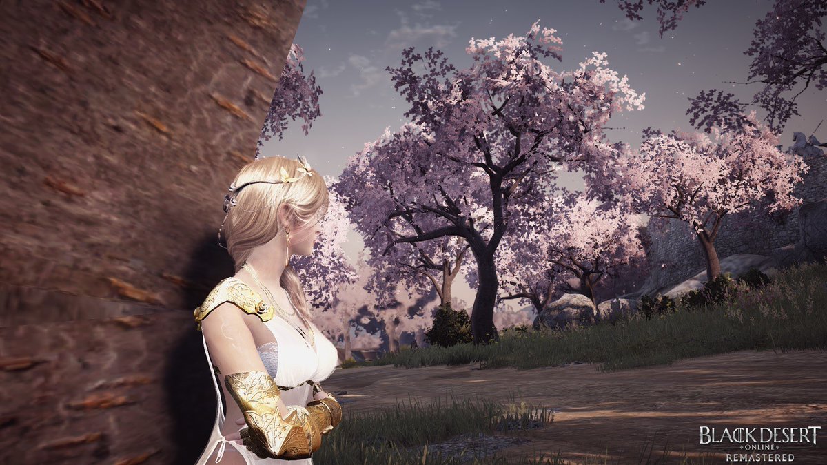 GANIKIW's tweet photo. #BDOSpring2020 
Family Name: GANIKI
Region: NA
Class: Lahn

The cherry blossom is so pretty!! Can we make this event permanent? https://t.co/QLd2mpNTZK