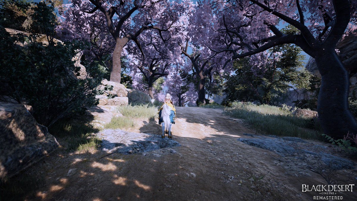 GANIKIW's tweet photo. #BDOSpring2020 
Family Name: GANIKI
Region: NA
Class: Lahn

The cherry blossom is so pretty!! Can we make this event permanent? https://t.co/QLd2mpNTZK