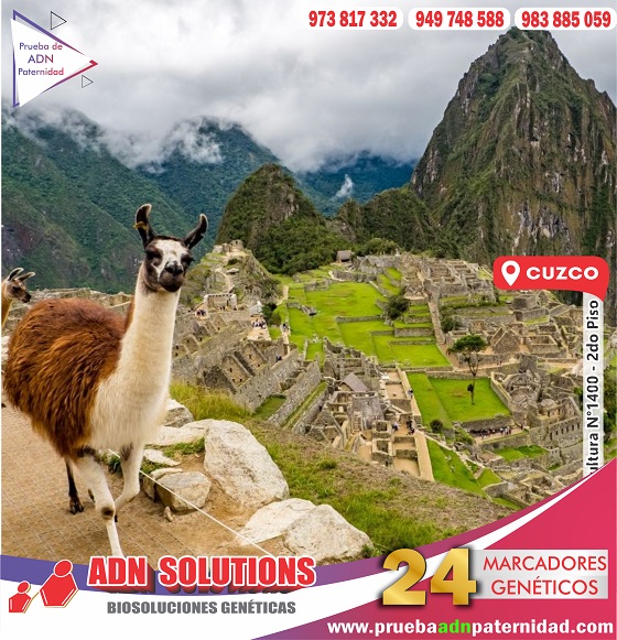 SolutionsAdn's tweet photo. ✔🧬 #ADNSolutions – Expertos en GENÉTICA
Atendemos a todo el Perú.
📲Cel 973 817 332 - 949 748 588 - 983 885 059
Despeja toda duda con una Prueba de ADN. Completo del ADN: 24 GENES para resultados DEFINITIVOS.
✔Atención A NIVEL NACIONAL
LIMA: Av. La Molina 805 Of.10 - La Molina https://t.co/ISkphkbPHg