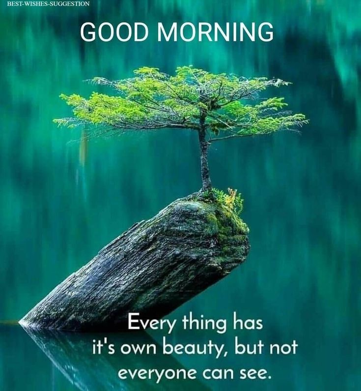 SohaNaggar's tweet photo. 🌤️🌤️🌤️🌤️🌤️🌤️🌤️ https://t.co/DG36VVZrfS